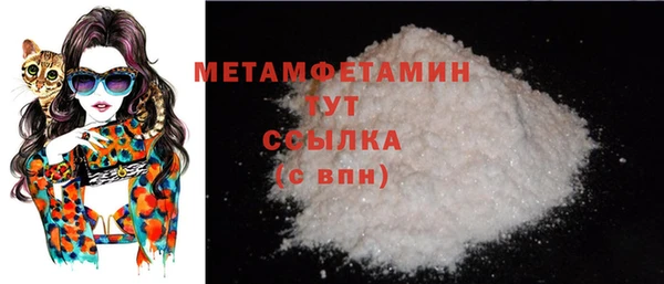 индика Карпинск