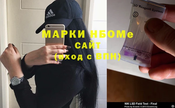 индика Карпинск