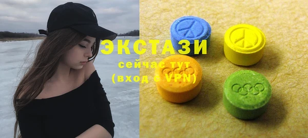 индика Карпинск