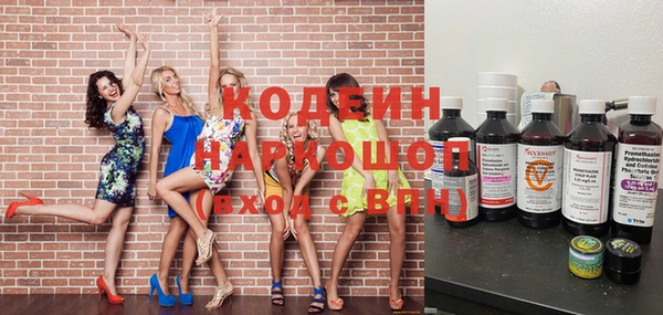 индика Карпинск