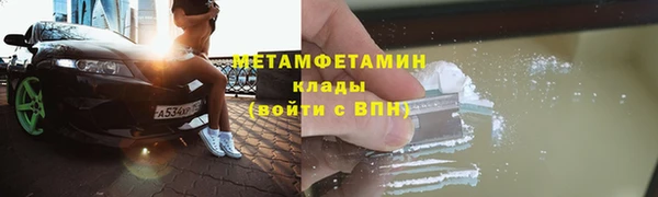 индика Карпинск