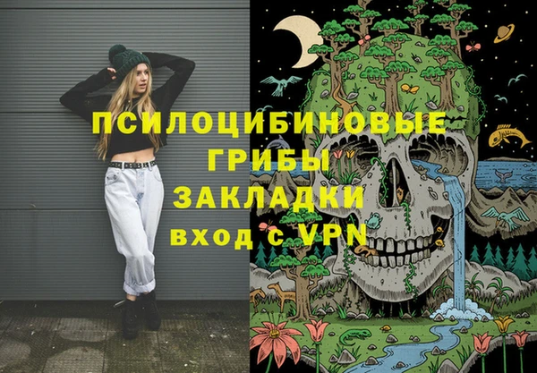 индика Карпинск