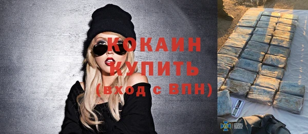 индика Карпинск
