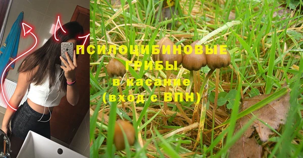 индика Карпинск