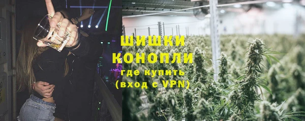 индика Карпинск
