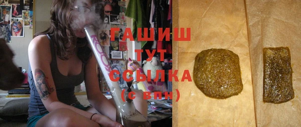 индика Карпинск