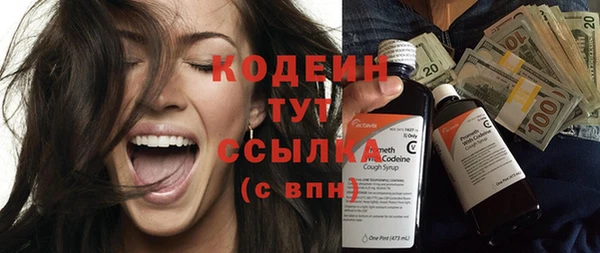 индика Карпинск