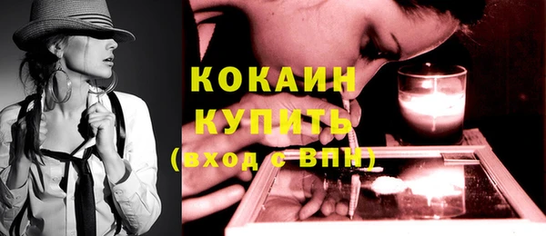 индика Карпинск