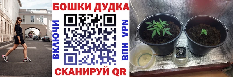 Конопля конопля  Купить закладки  Луховицы 
